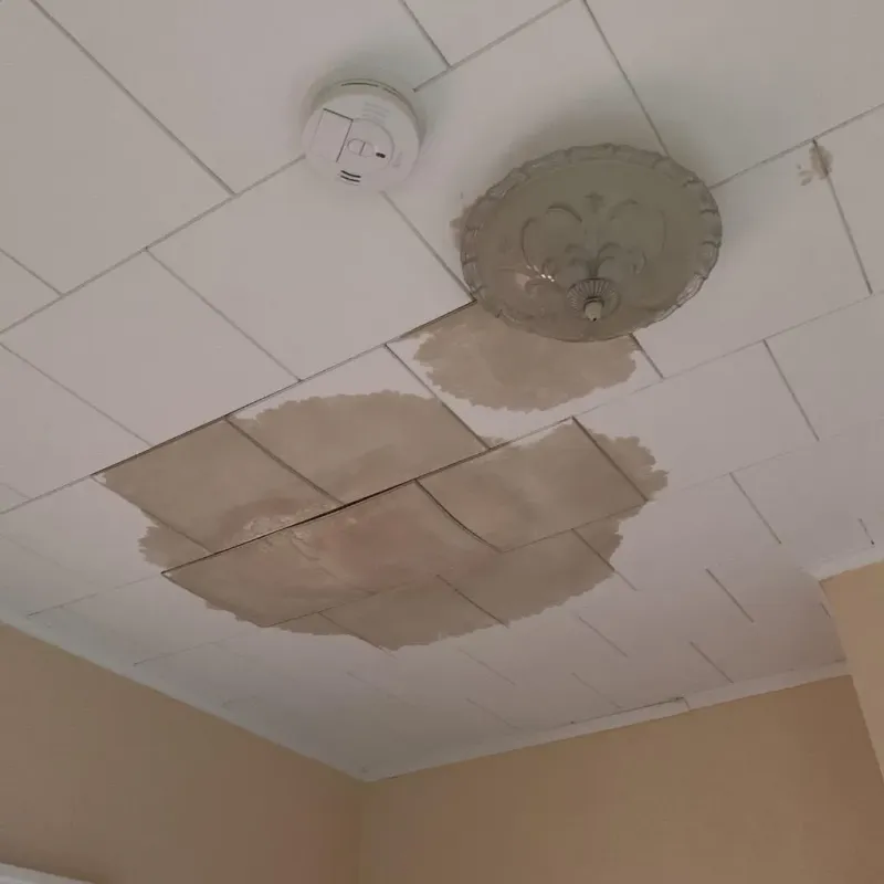 Ceiling Water Damage Repair in Pender, NE