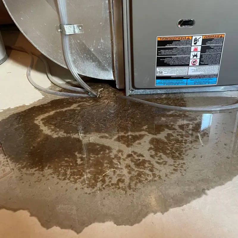 Pipe Burst and Leak Restoration in Pender, NE