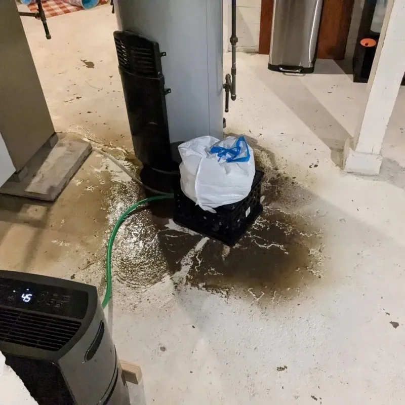 Sewage Backup Cleanup Service in Pender, NE